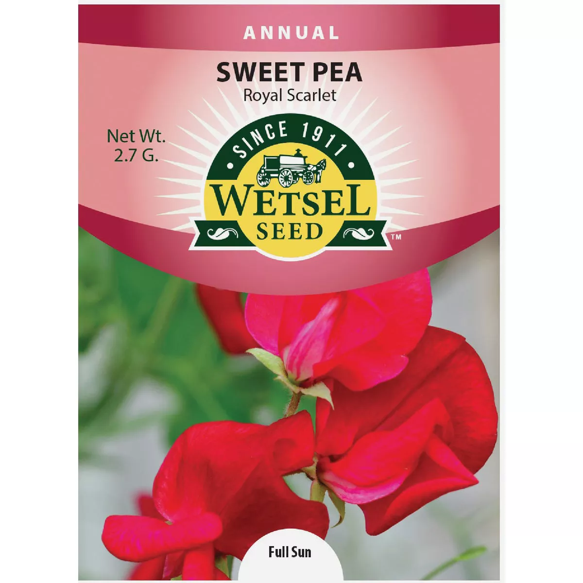 Wetsel Seed Royal Scarlet Sweet Peas Flower Seed Packet - photo 3