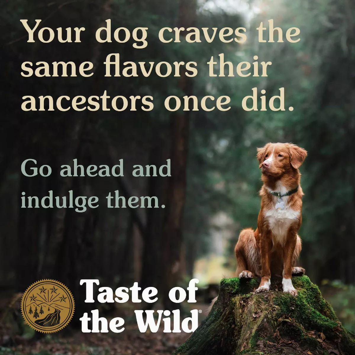 Taste of the Wild 5 Lb. High Prairie Grain-Free Canine Recipe Dry Dog Food with Roasted Bison & Roasted Venison - photo 5