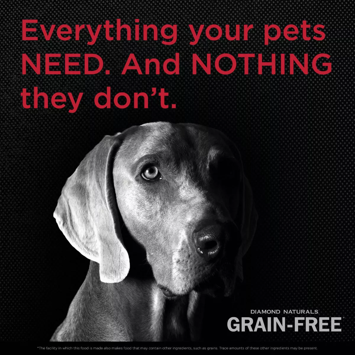Diamond Naturals Grain-Free 5 Lb. Adult Pasture-Raised Beef & Sweet Potato Formula Dry Dog Food - photo 3