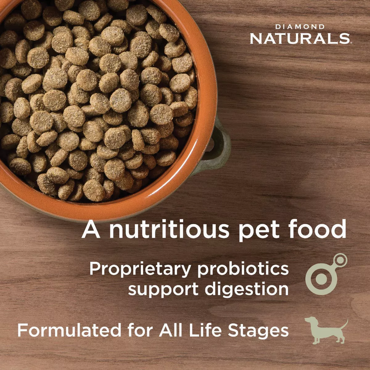 Diamond Naturals 30 Lb. Skin & Coat Adult Salmon & Potato Formula Skin & Coat Dry Dog Food - photo 3