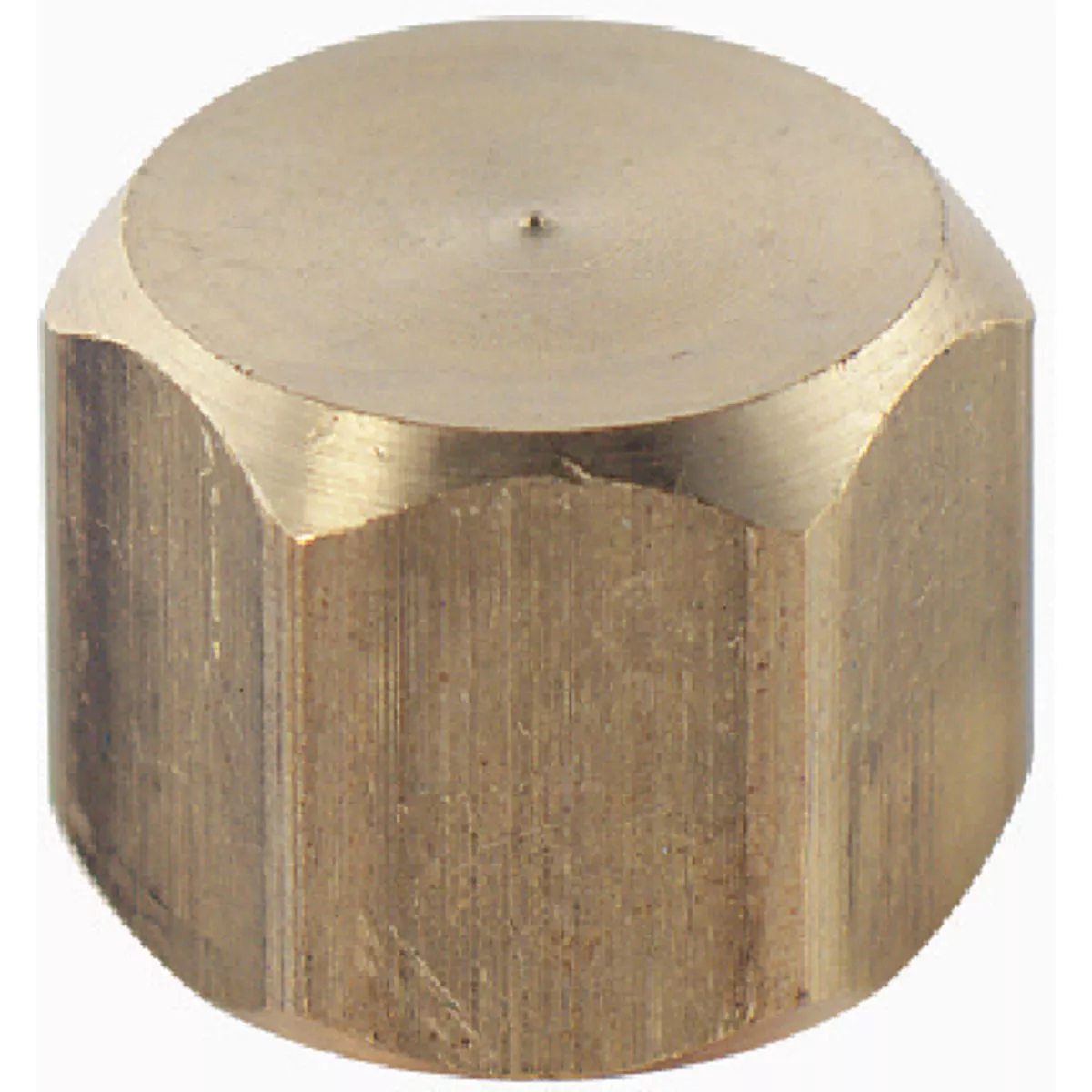 Plumb Craft 1/4 In. Brass Compression Cap