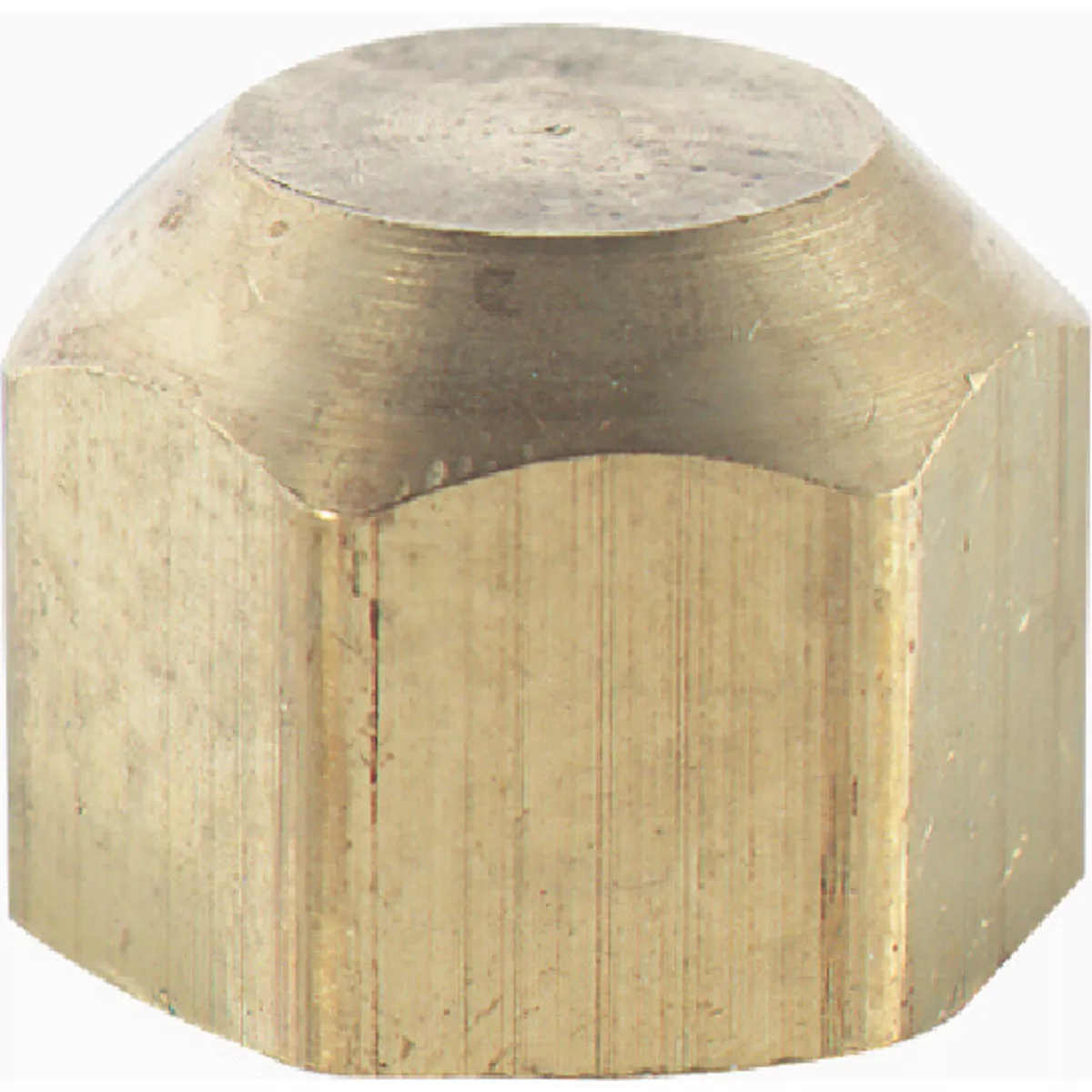 Plumb Craft 1/4 In. Brass Flare Cap