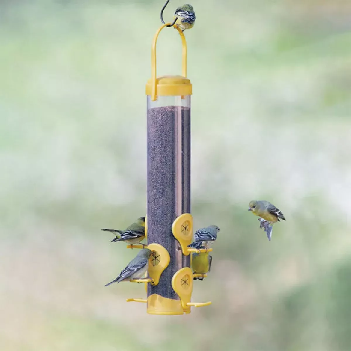 Perky-Pet Classic 14-1/2 In. 1.5 Lb. Capacity Yellow Nyjer Seed Finch Thistle Feeder - photo 2