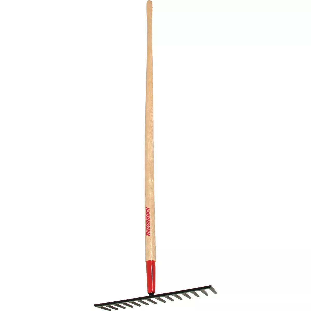Ames Razor-Back 16 In. Level Garden Rake (14-Tine)-