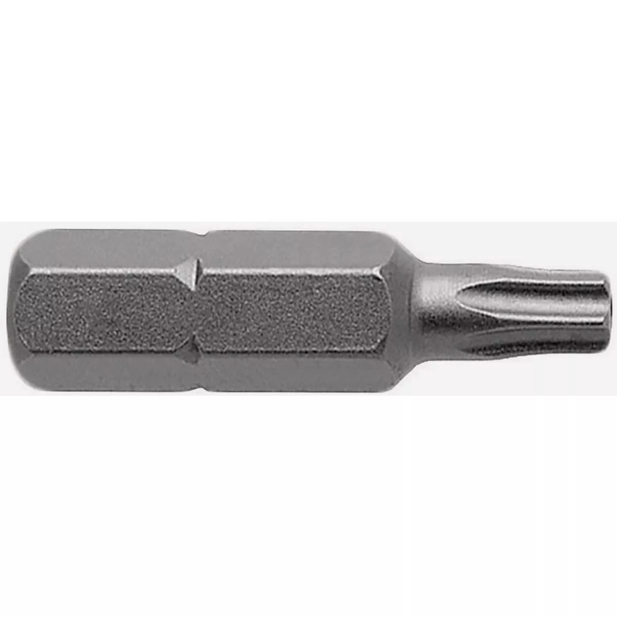 Century Drill & Tool 1 In. TORX T10 Screwdriver Bit (2-Pack)