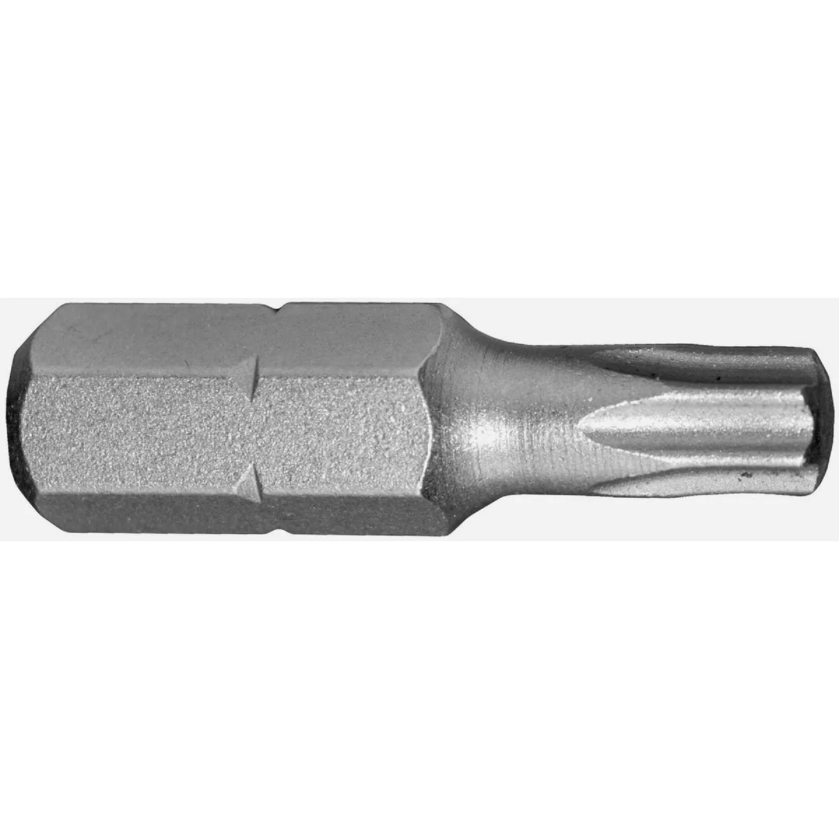 Century Drill & Tool 1 In. TORX T20 Screwdriver Bit (2-Pack)