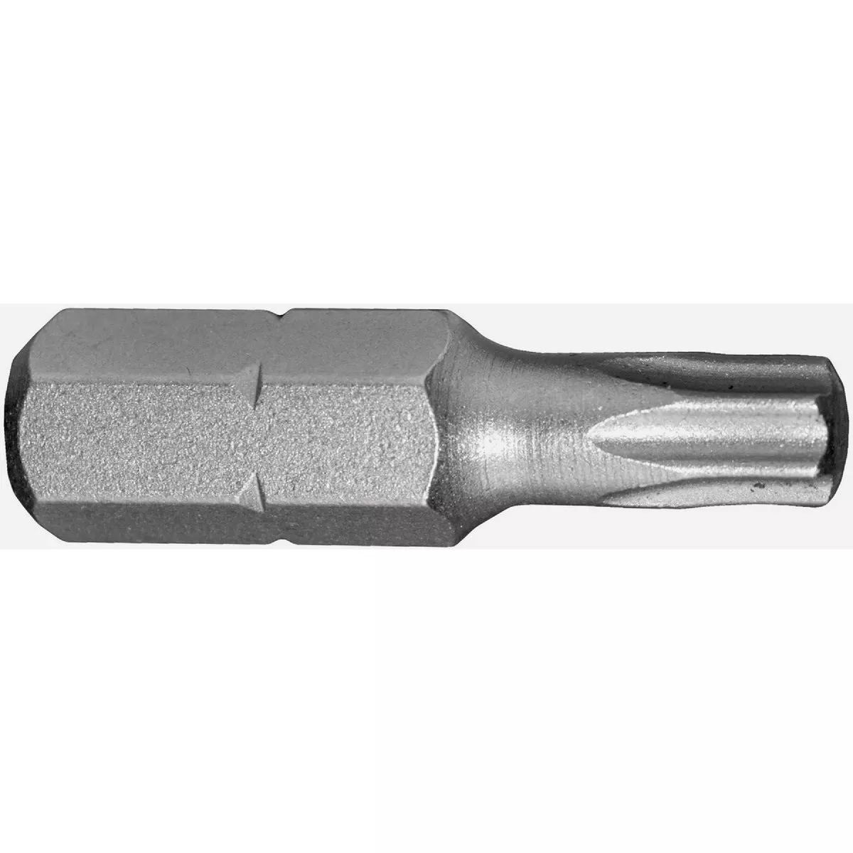 Century Drill & Tool 1 In. TORX T25 Screwdriver Bit (2-Pack)