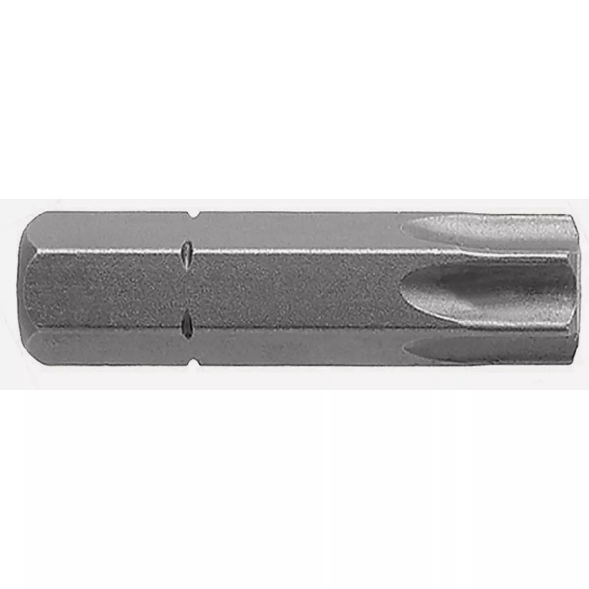 Century Drill & Tool 1 In. TORX T30 Screwdriver Bit (2-Pack)