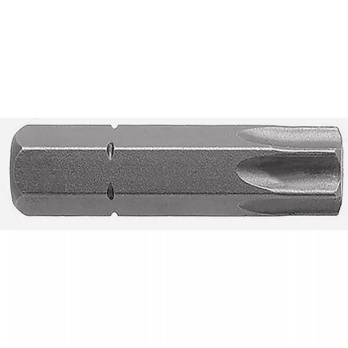 Century Drill & Tool 1 In. TORX T40 Screwdriver Bit (2-Pack)-