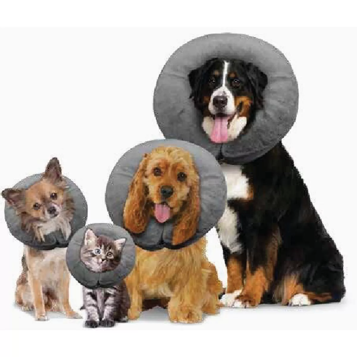 Arlee Pet Large 14 In. to 18 In. Comfurt Dog Collar-