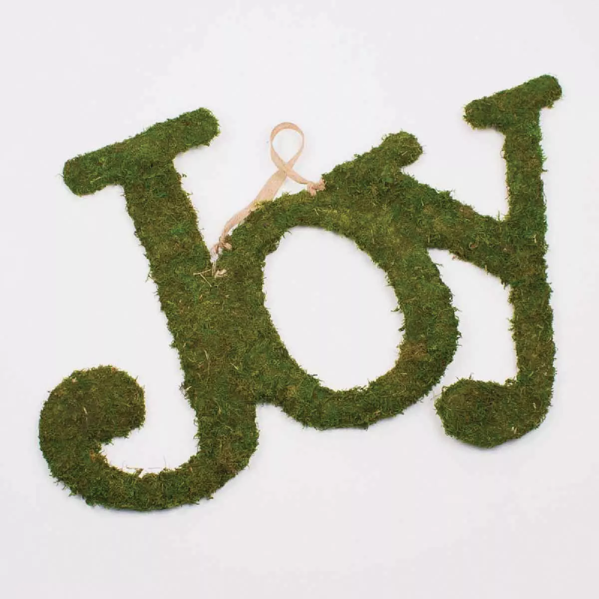 The Royal Standard 27 In. x 17 In. Joy Moss Door Decor