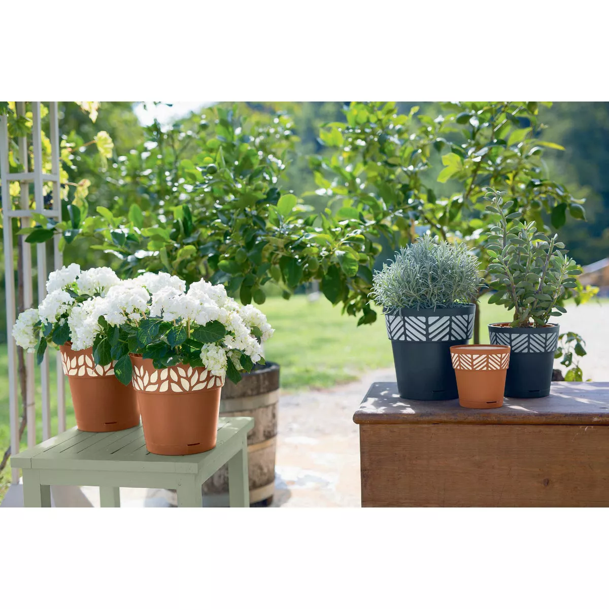 Deroma 5.9 In. Dia. Black Leaf Plastic Planter - photo 2