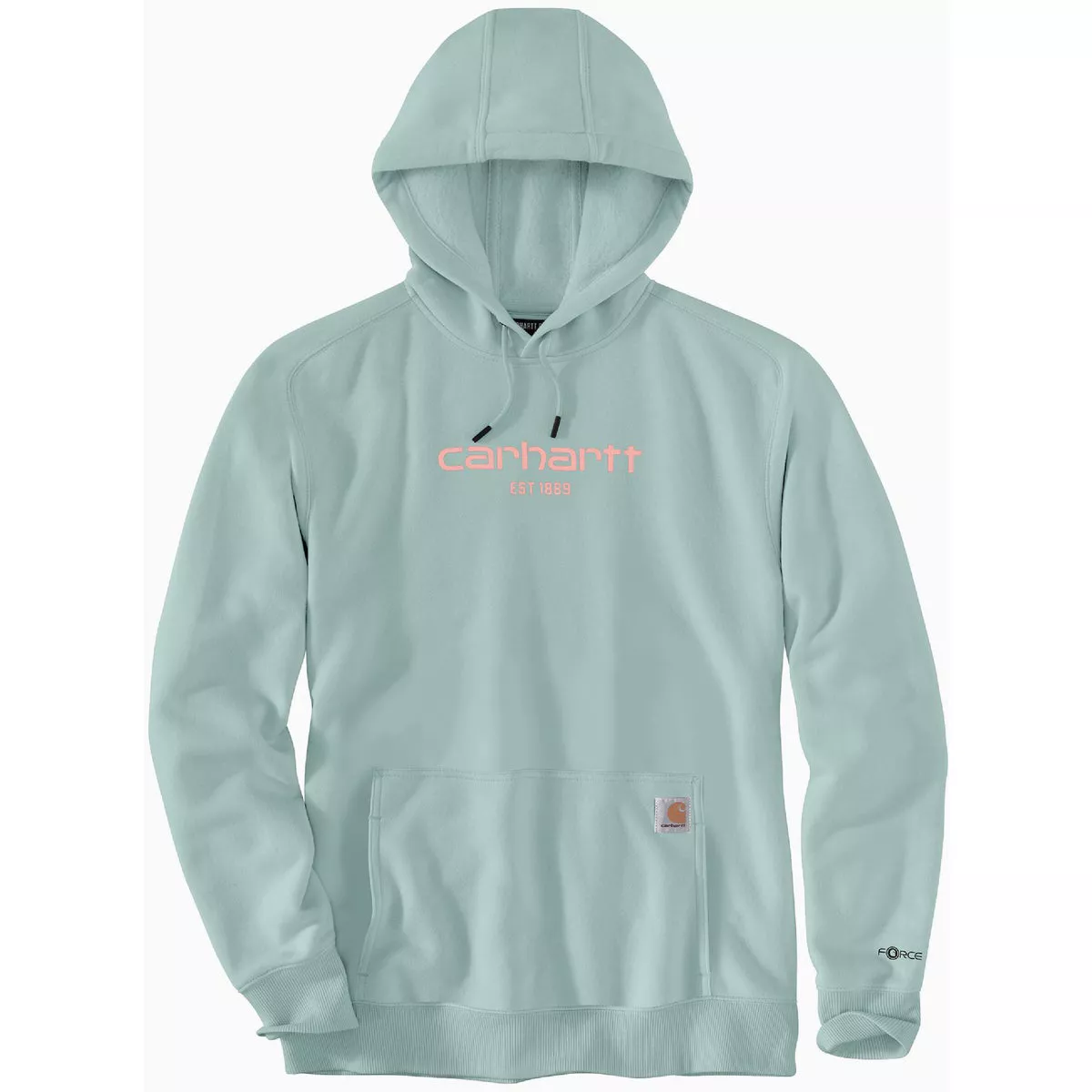 Carhartt Force Men's Medium Regular Blue Surf Lightweight Logo Graphic Pullover Hooded Sweatshirt, Relaxed Fit