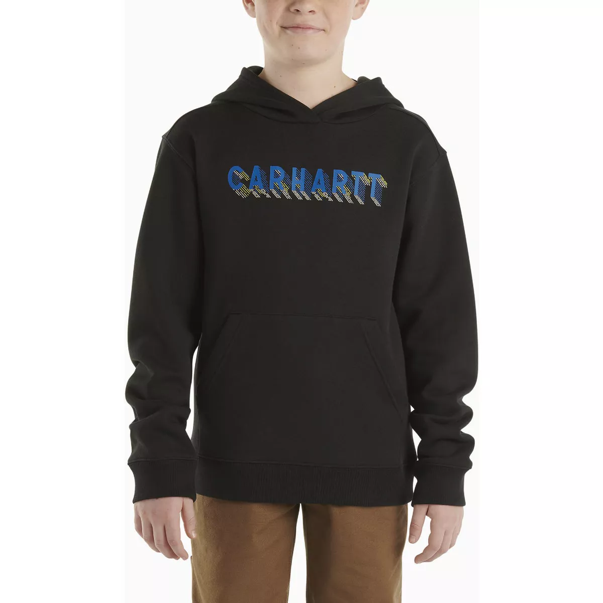 Carhartt Boys' 2T Caviar Black Long Sleeve Heavyweight Graphic Hooded Sweatshirt