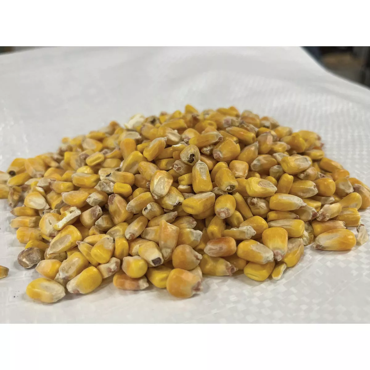 Lowville Farmers Co-Op Whole Corn Feed