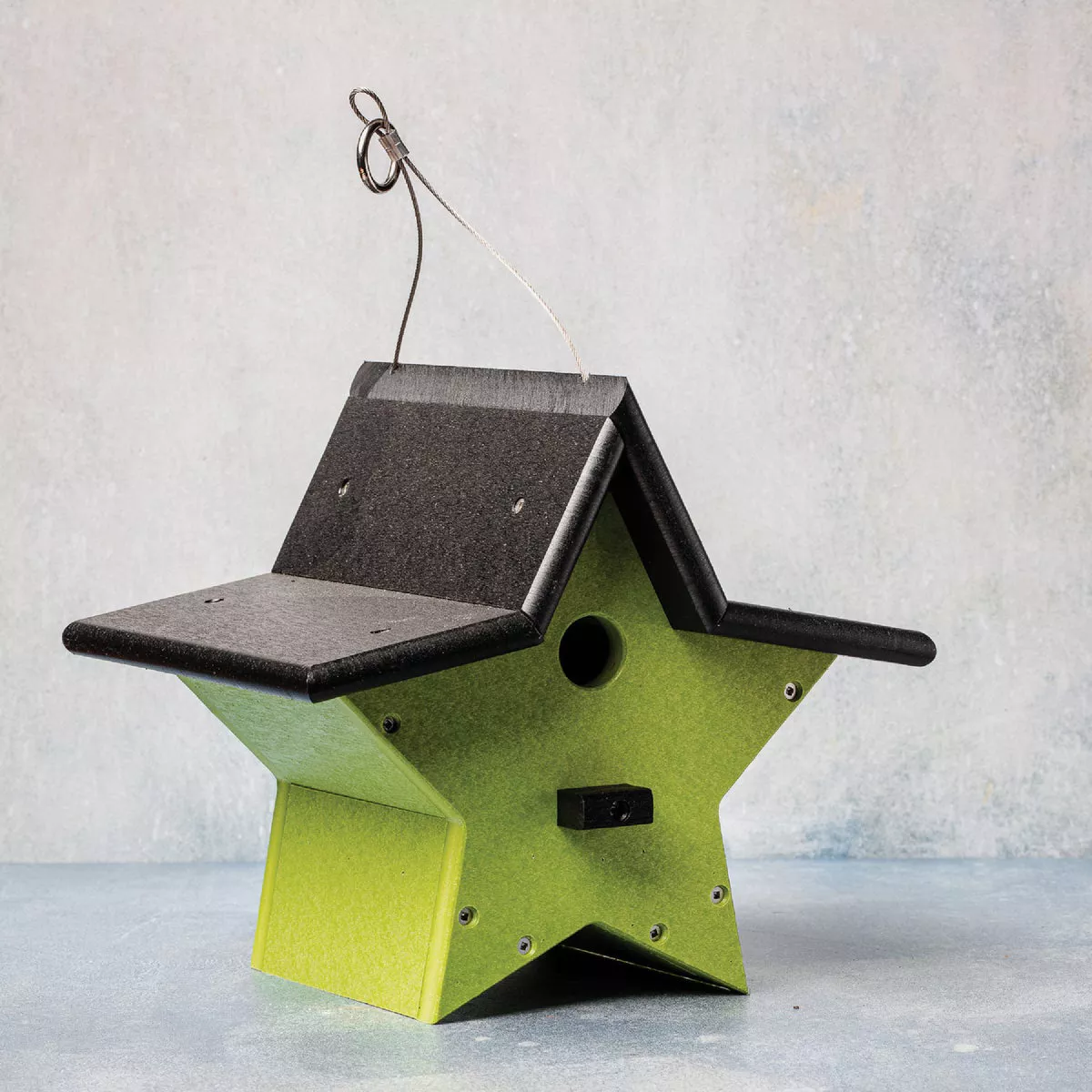 Green Meadow Star Wren Bird House