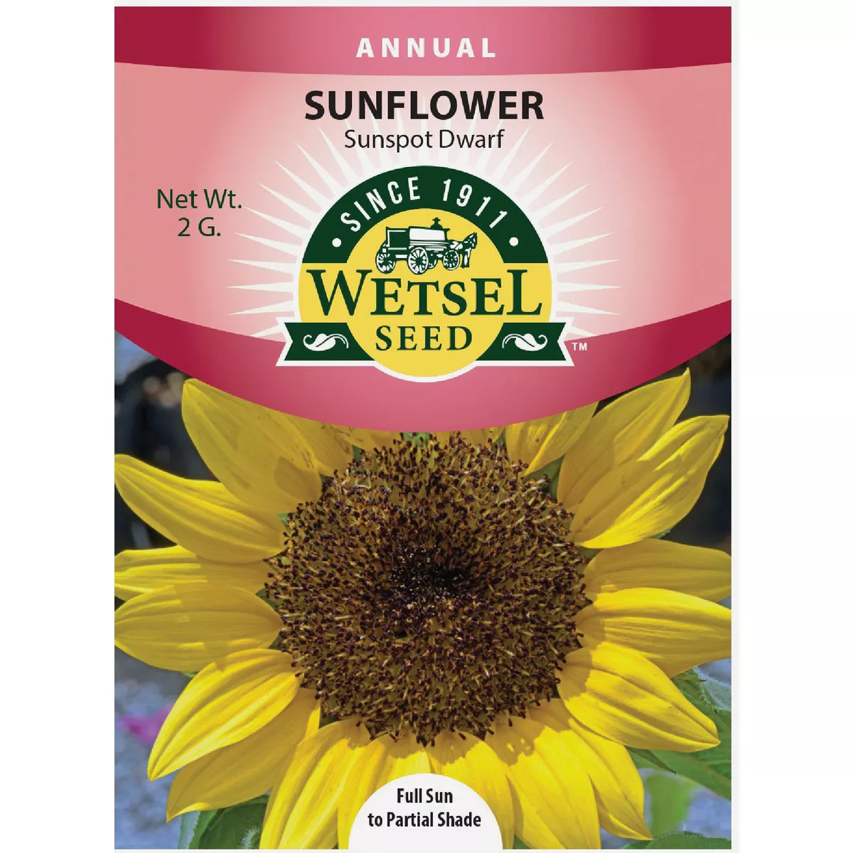 Wetsel Seed Sunspot Dwarf Sunflower Seed Packet