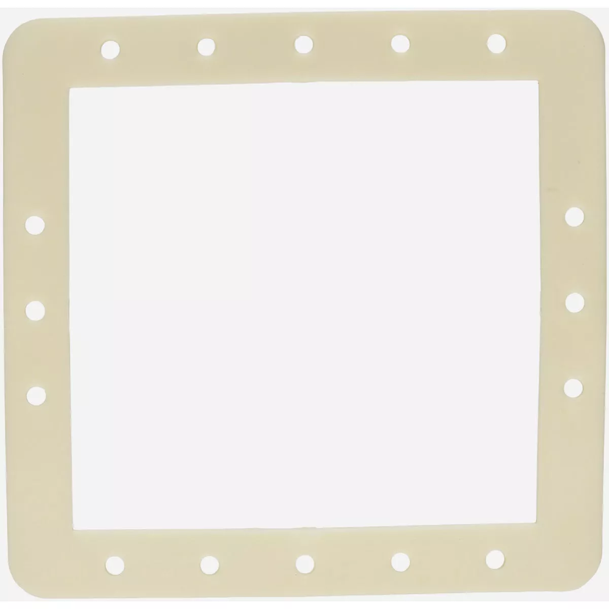 Hayward SPX1091G Standard Butterfly Gasket
