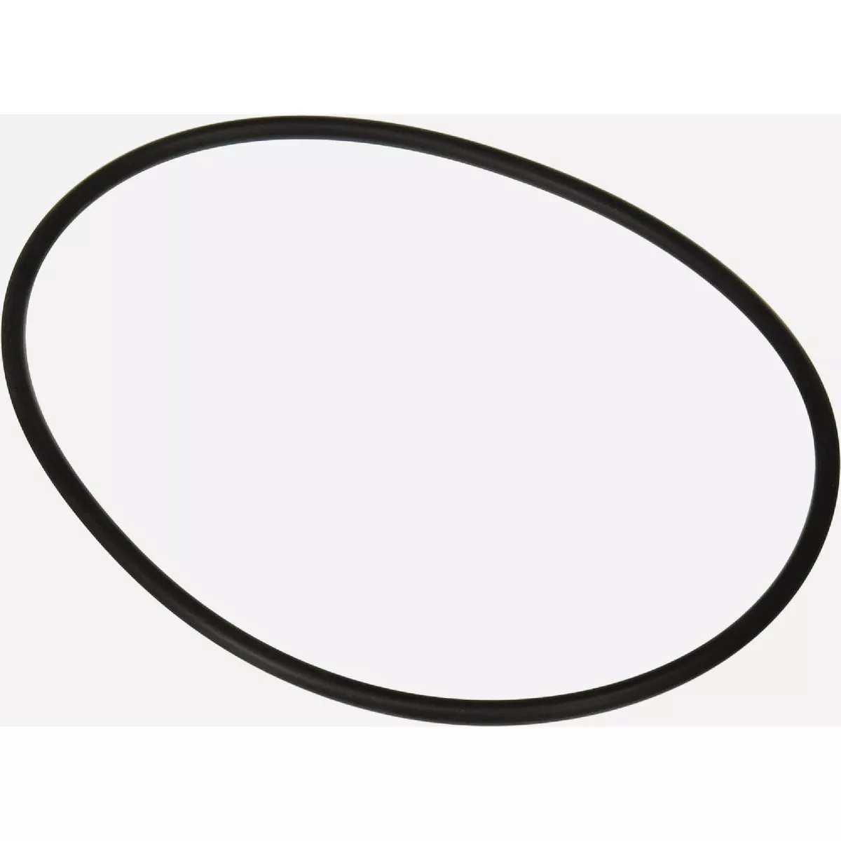 Hayward PowerFlo Matrix Stainer Housing O-Ring