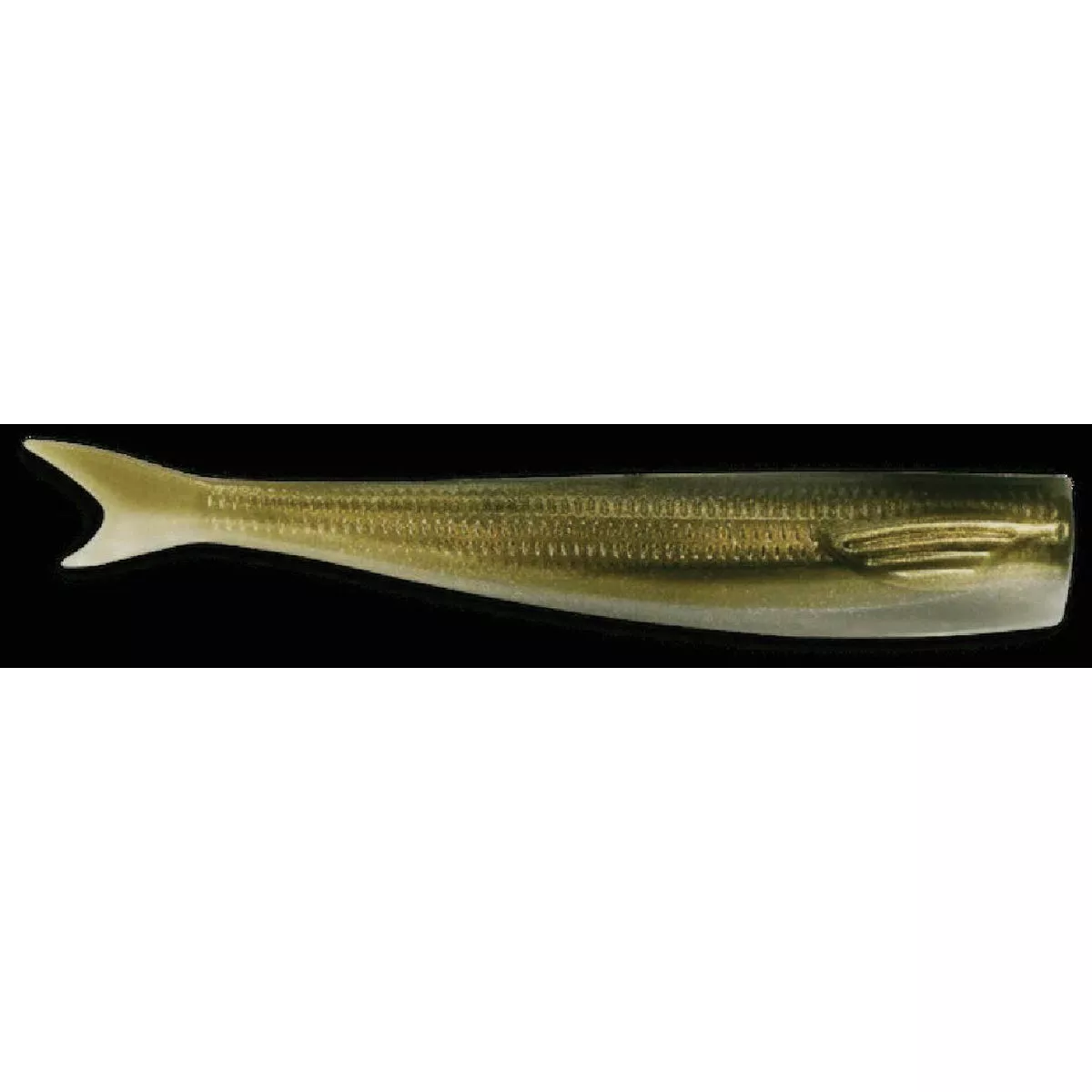 JYG Pro Fishing SWYM 9 In. Dirty Dinero Y-Tail Fishing Lure (3-Pack)