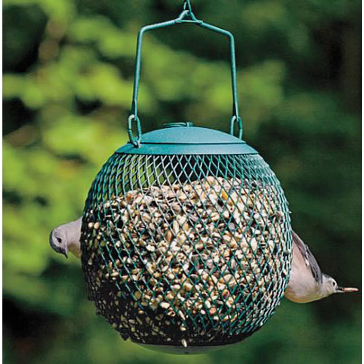 NONO 6 In. Green Metal Ball Bird Feeder