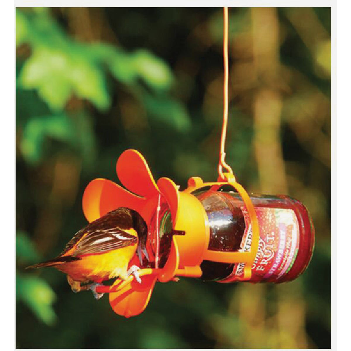 Songbird Essentials Jelly and Jam Fliteline Oriole Feeder | Do it Best