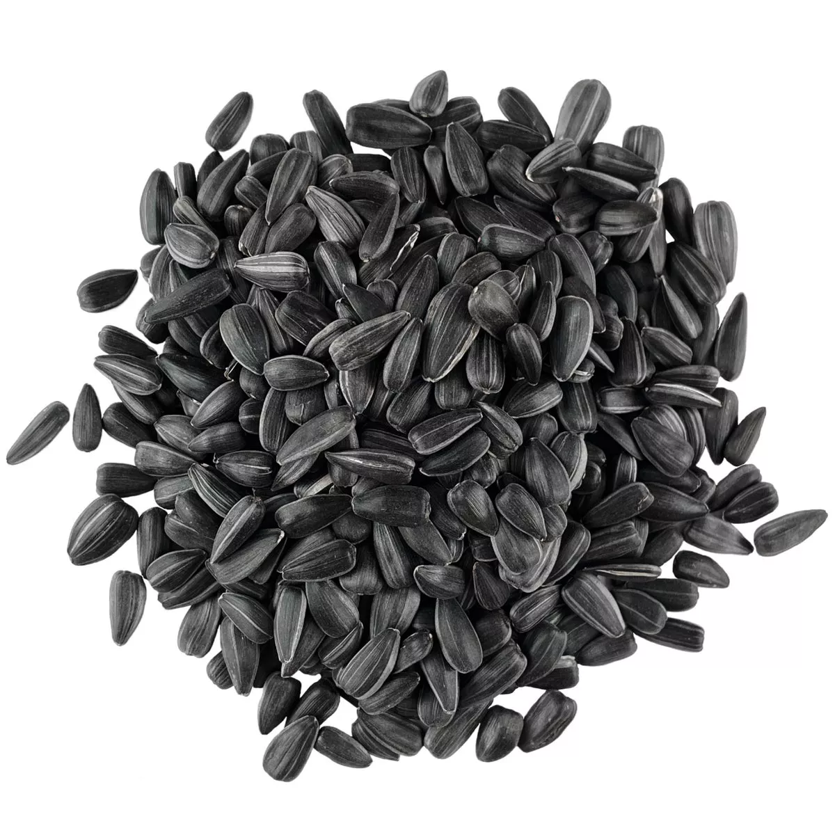 Bird Pro 25 Lb. Premium Black Oil Sunflower Seed