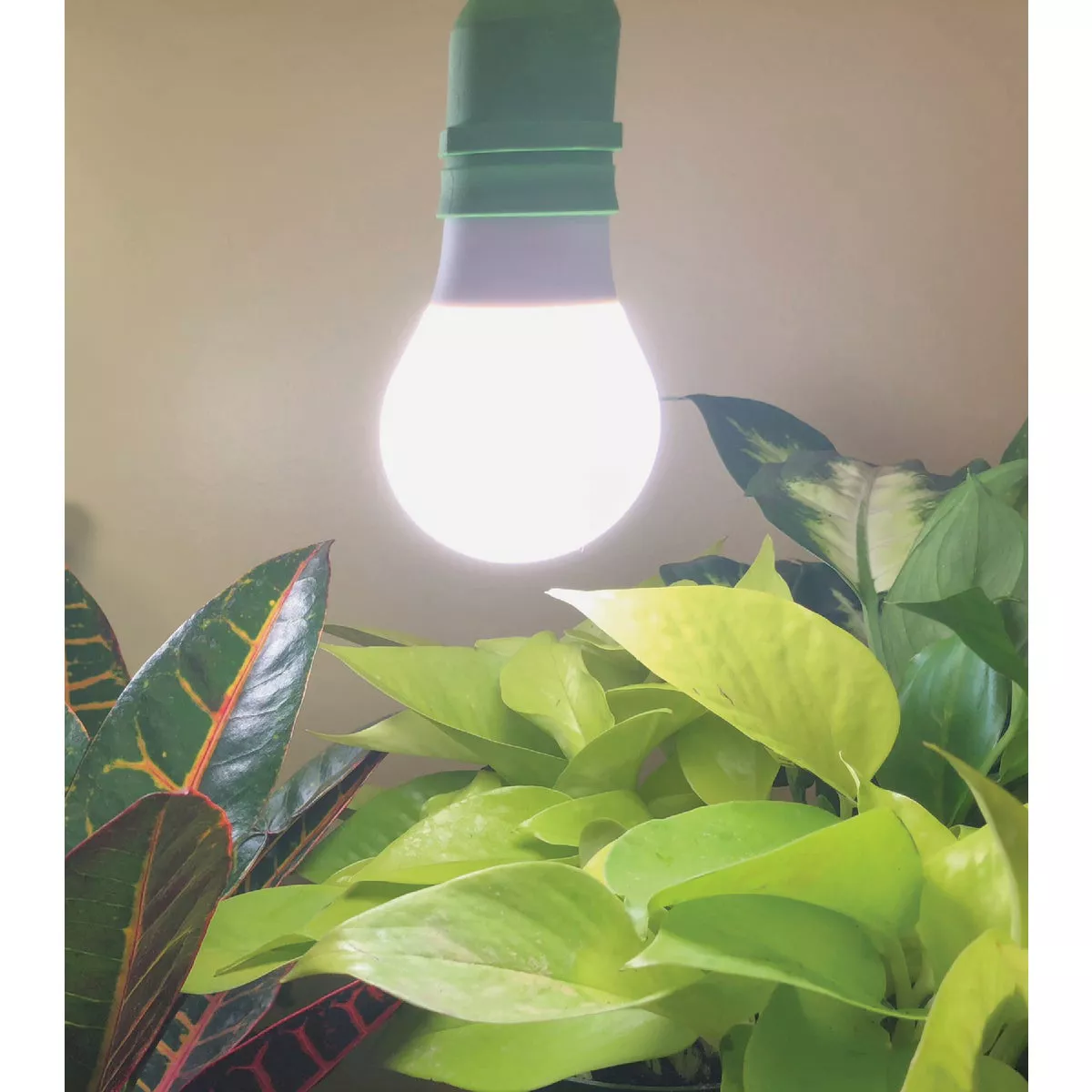 Miracle LED Absolute Daylight 9W Soft White Full Spectrum Grow Lite Bulb - photo 6