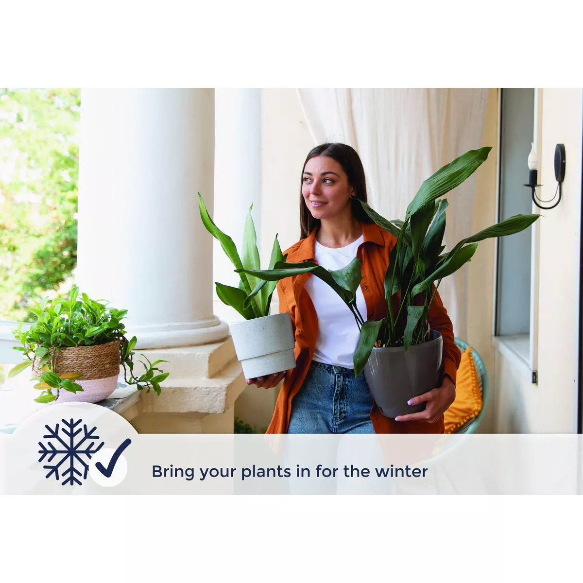 Miracle LED Absolute Daylight 9W Soft White Full Spectrum Grow Lite Bulb - photo 3