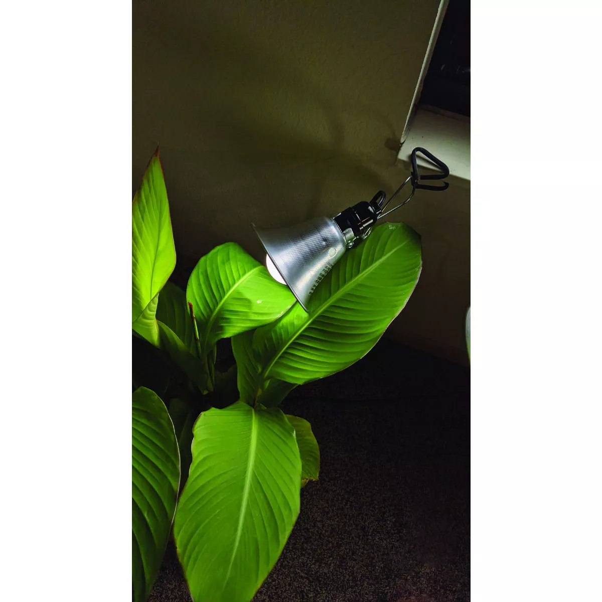 Miracle LED Clamp-On Grow Lamp-