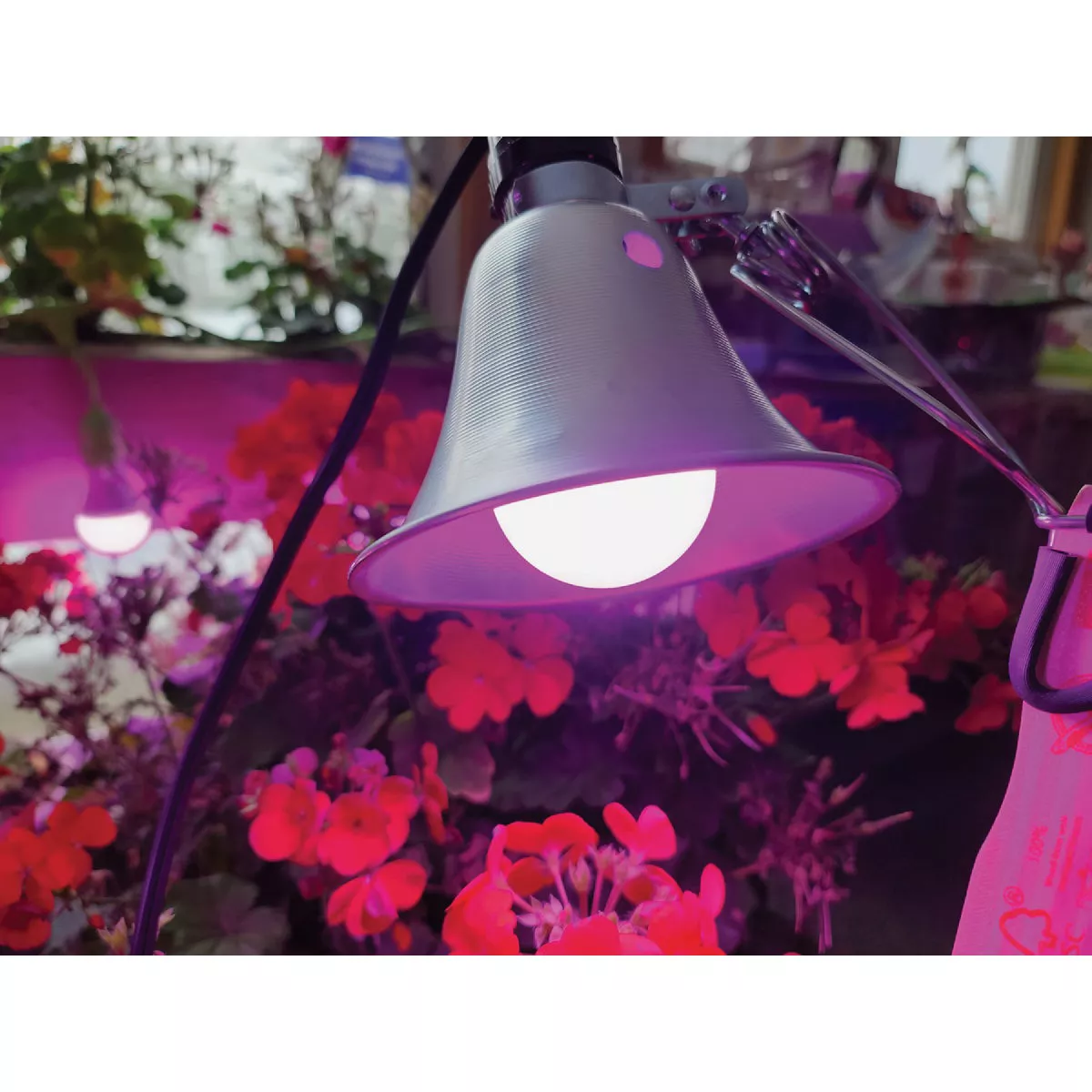 Miracle LED Clamp-On Grow Lamp- - photo 2