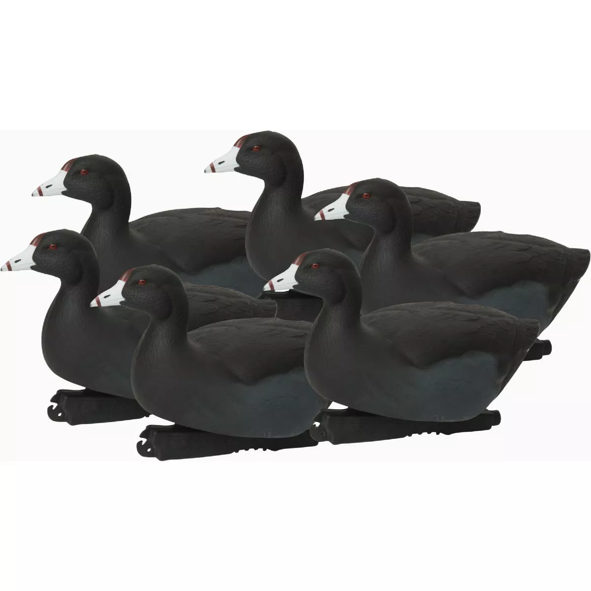Avery Outdoors Over Size Coots Decoy (6 Pack)