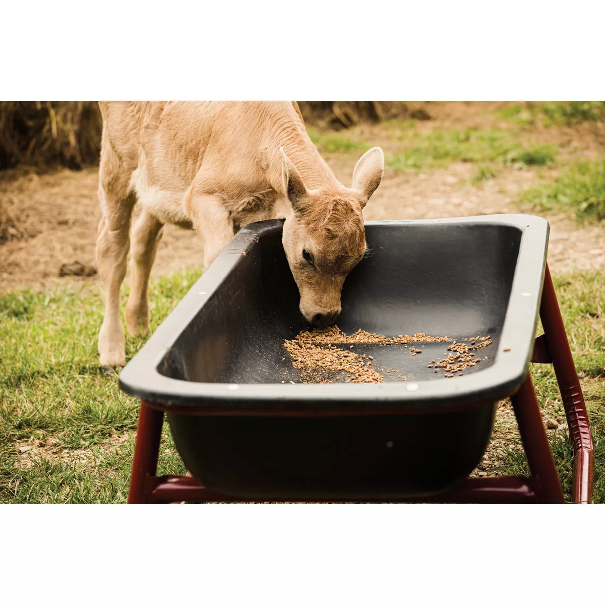Tarter 5 Ft. Poly Bunk Liner