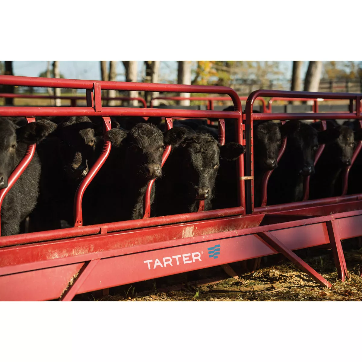 Tarter 12 Ft. Fence Line Feeder Panel