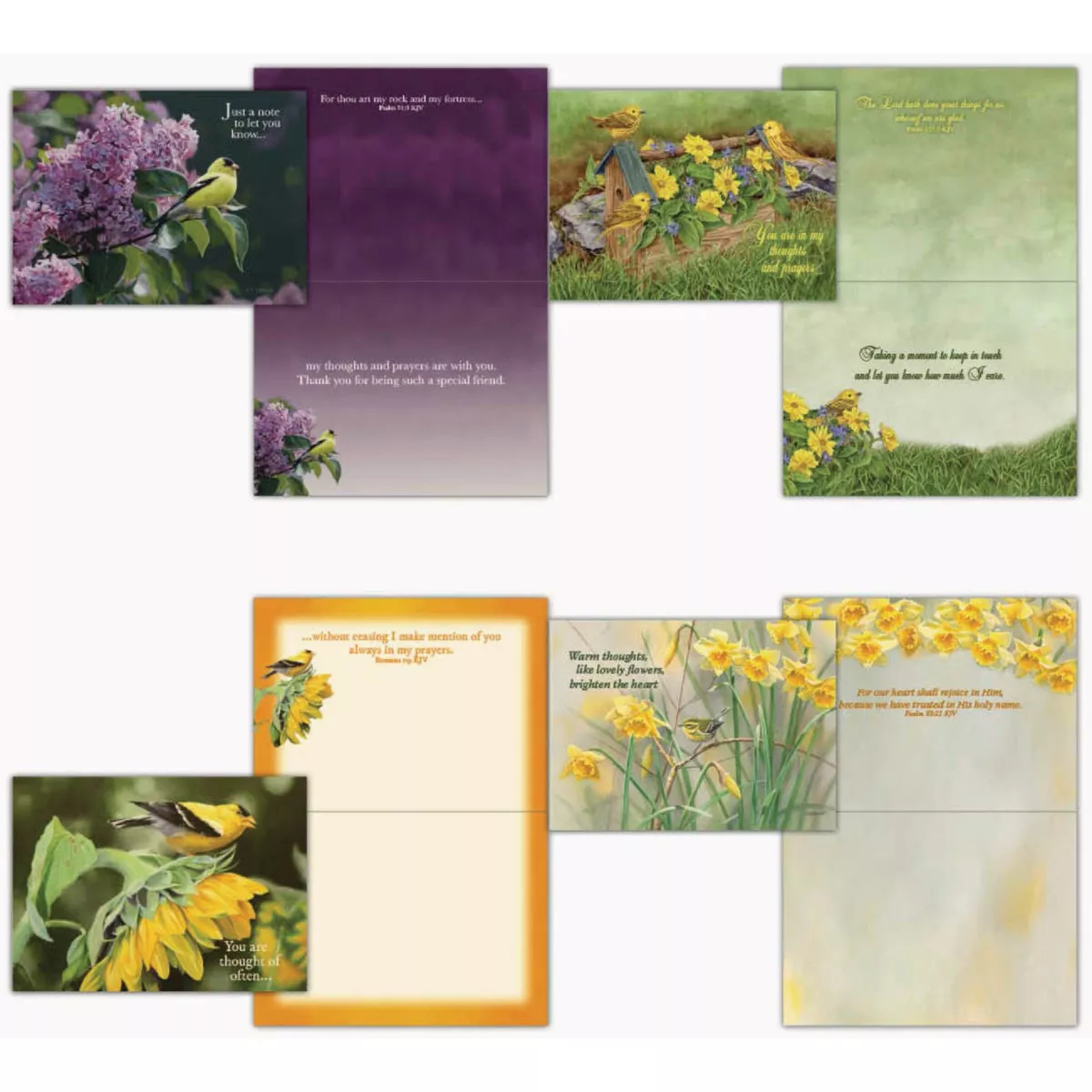 Shared Blessings Thinking of You II Card