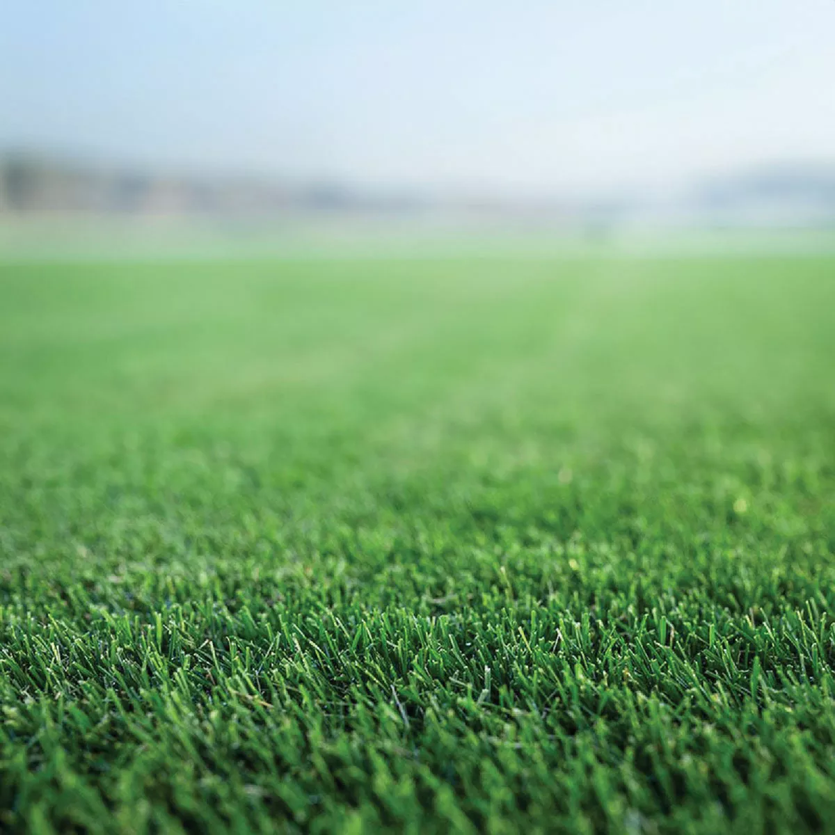 La Crosse Seed 50 Lb. Survivor Turfgrass Mix
