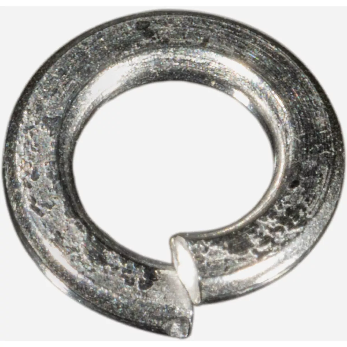 Midwest Fastener #6 x 1/4 In. 316 Stainless Steel Lock Washers (50 Ct.)-