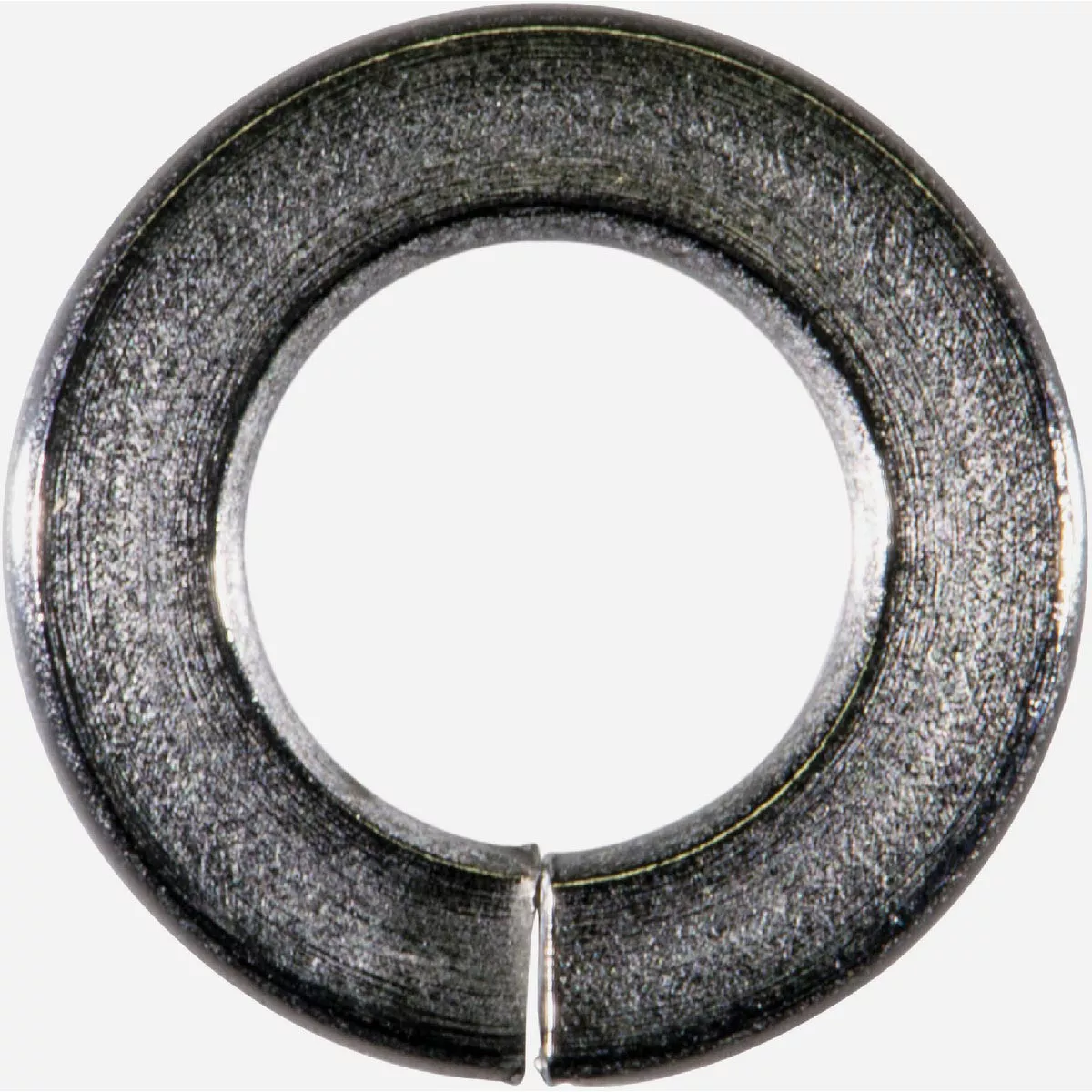Midwest Fastener 5/16 In. x 9/16 In. 316 Stainless Steel Lock Washers