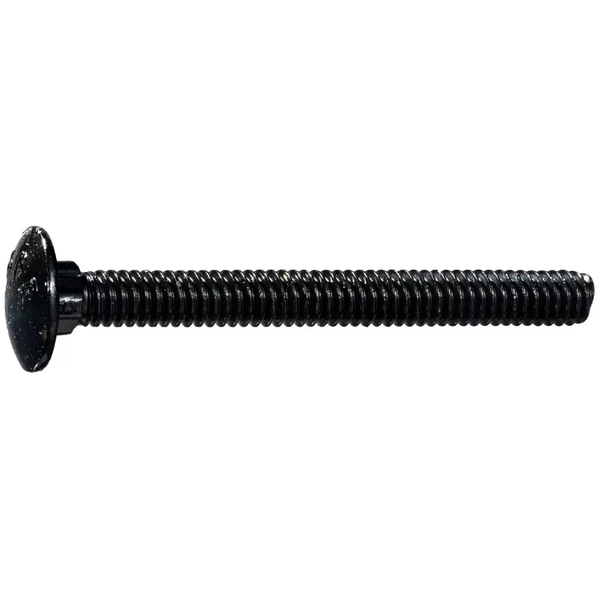 Midwest Fastener 1/4 In.-20 x 2-1/2 In. Black Coated Steel Coarse Thread Carriage Bolt (8 Ct.)
