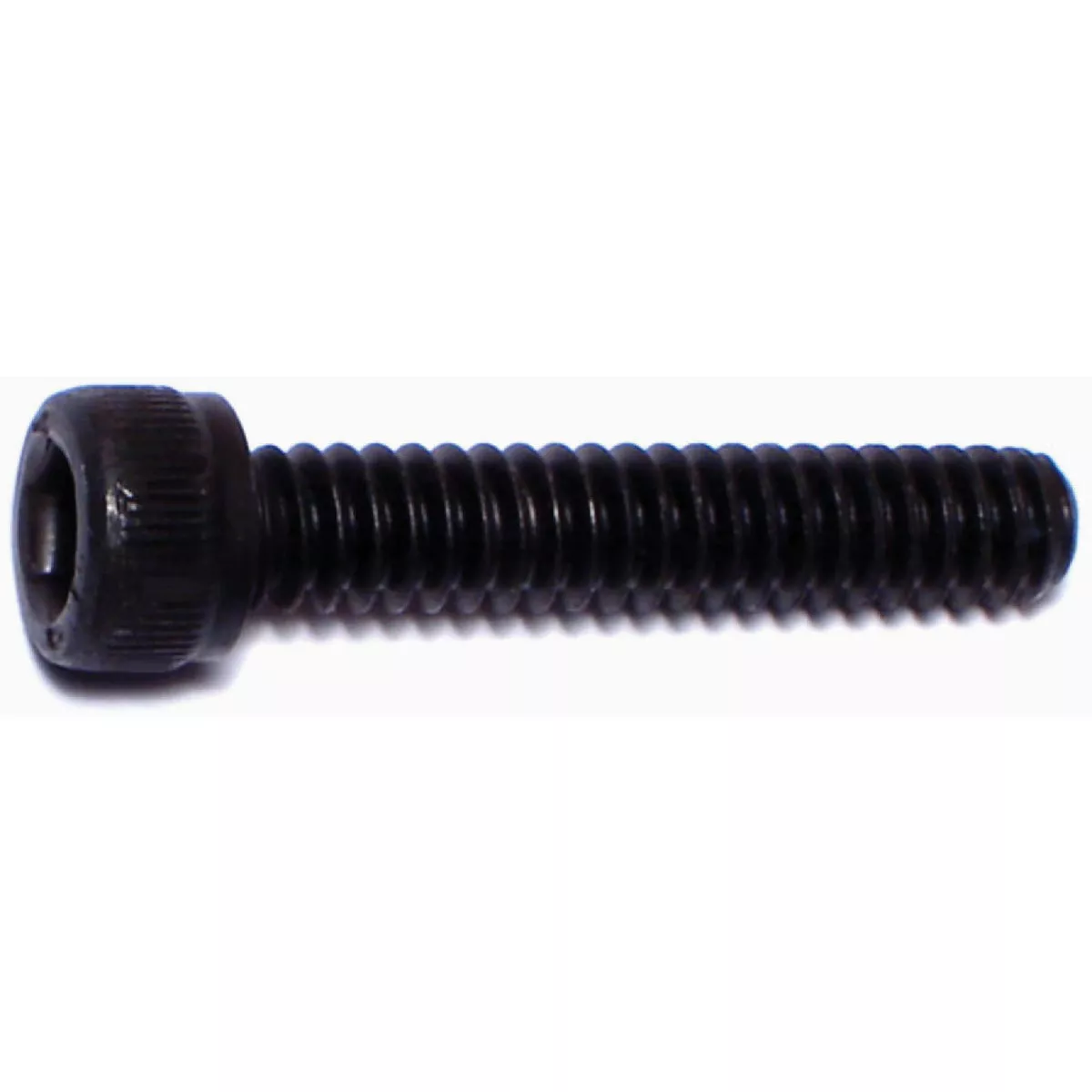 Midwest Fastener #10-24 x 1 In. Plain Steel Coarse Thread Socket Cap Screws (100 Ct.)