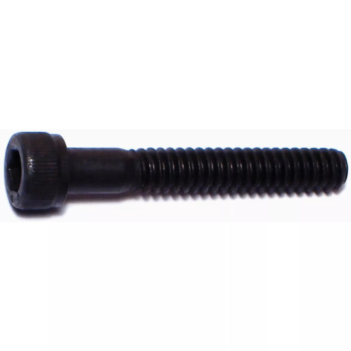 Midwest Fastener #10-24 x 1-1/4 In. Plain Steel Coarse Thread Socket Cap Screws (100 Ct.)