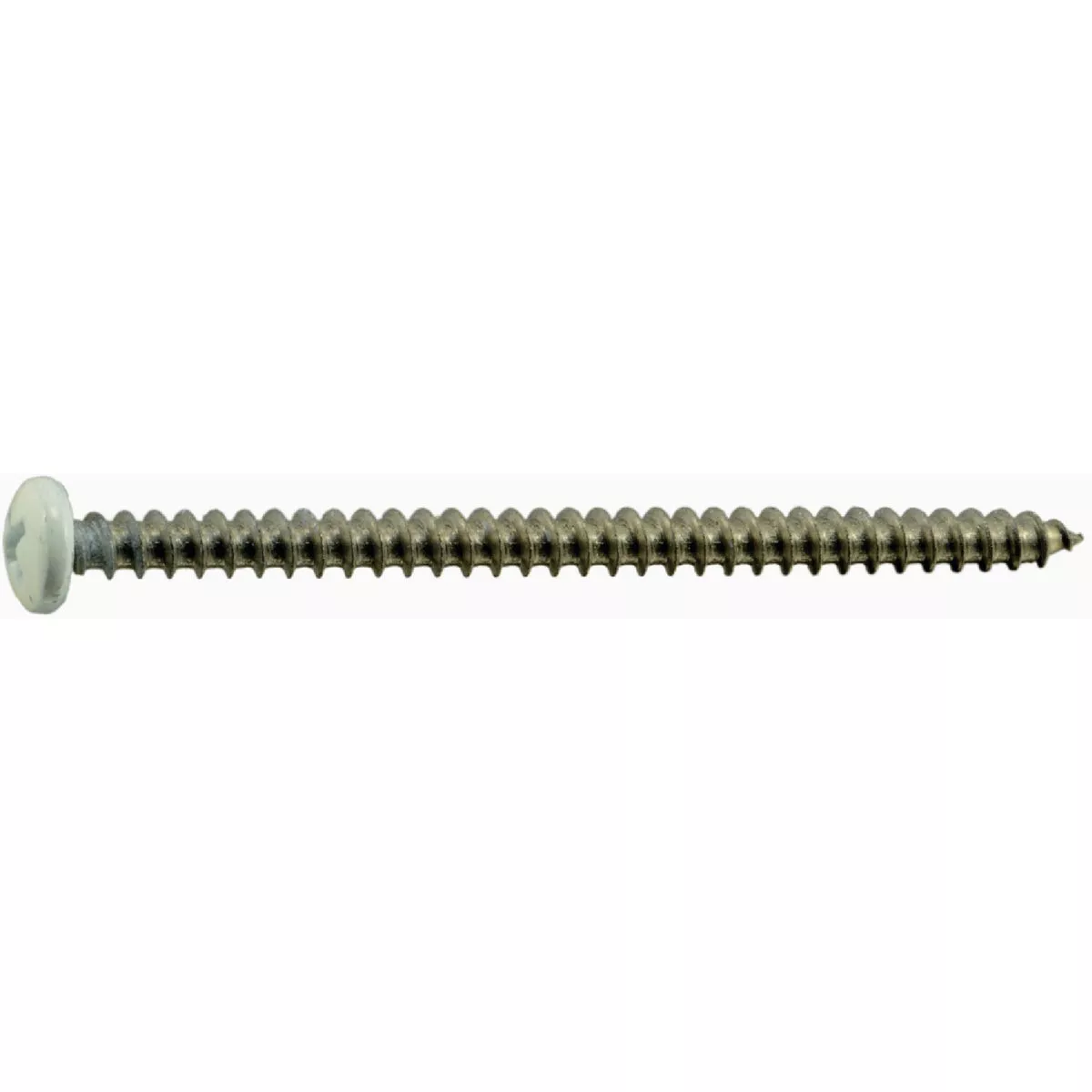 Midwest Fastener #10 x 3 In. White Painted 18-8 Stainless Steel Phillips Pan Head Sheet Metal Screws
