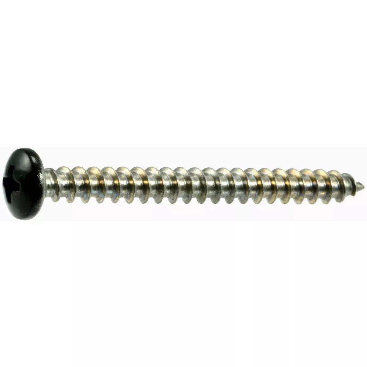 Midwest Fastener #10 x 2 In. Black Painted 18-8 Stainless Steel Phillips Pan Head Sheet Metal Screws (100 Ct.)