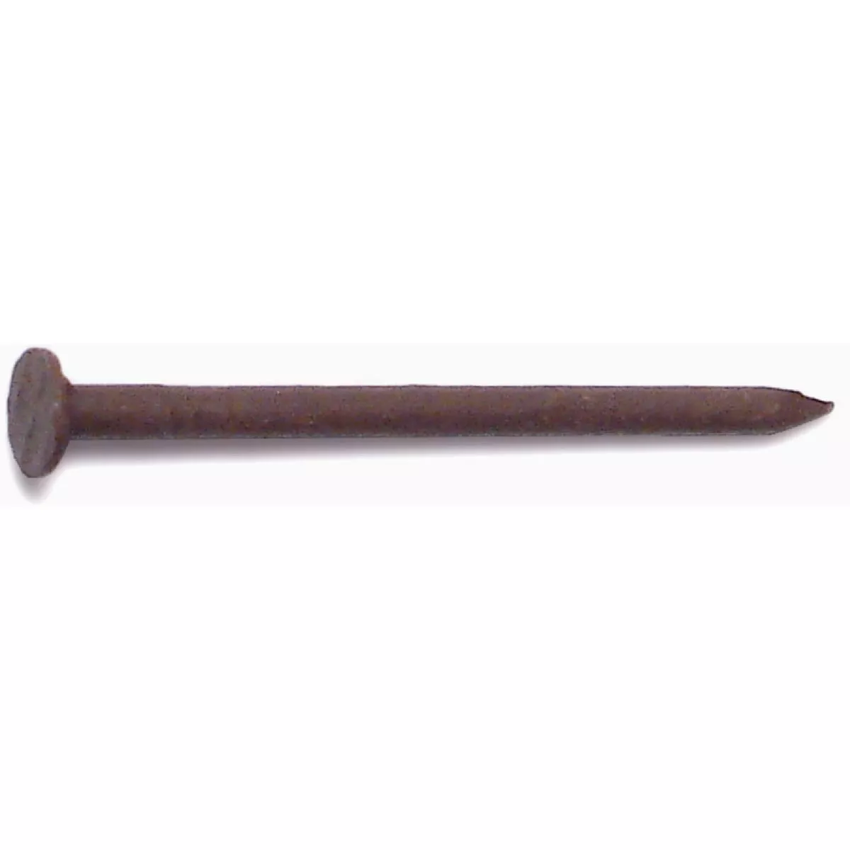 Midwest Fastener 15 x 1-1/4 In. Brown 304 Stainless Steel Trim Flat Head Nails