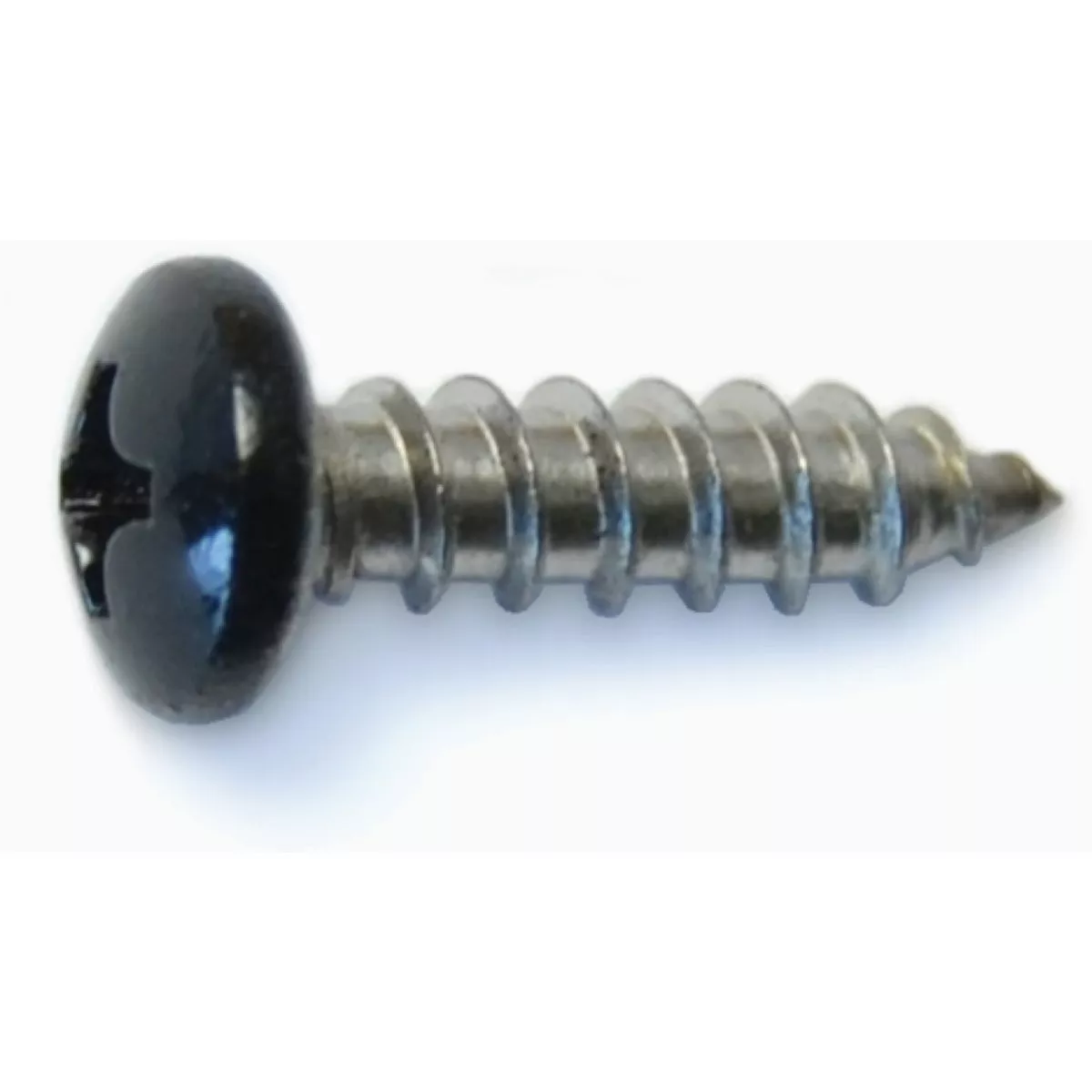 Midwest Fastener #8 x 5/8 In. Black Painted 18-8 Stainless Steel Phillips Pan Head Shutter Screws (1 Ct.)