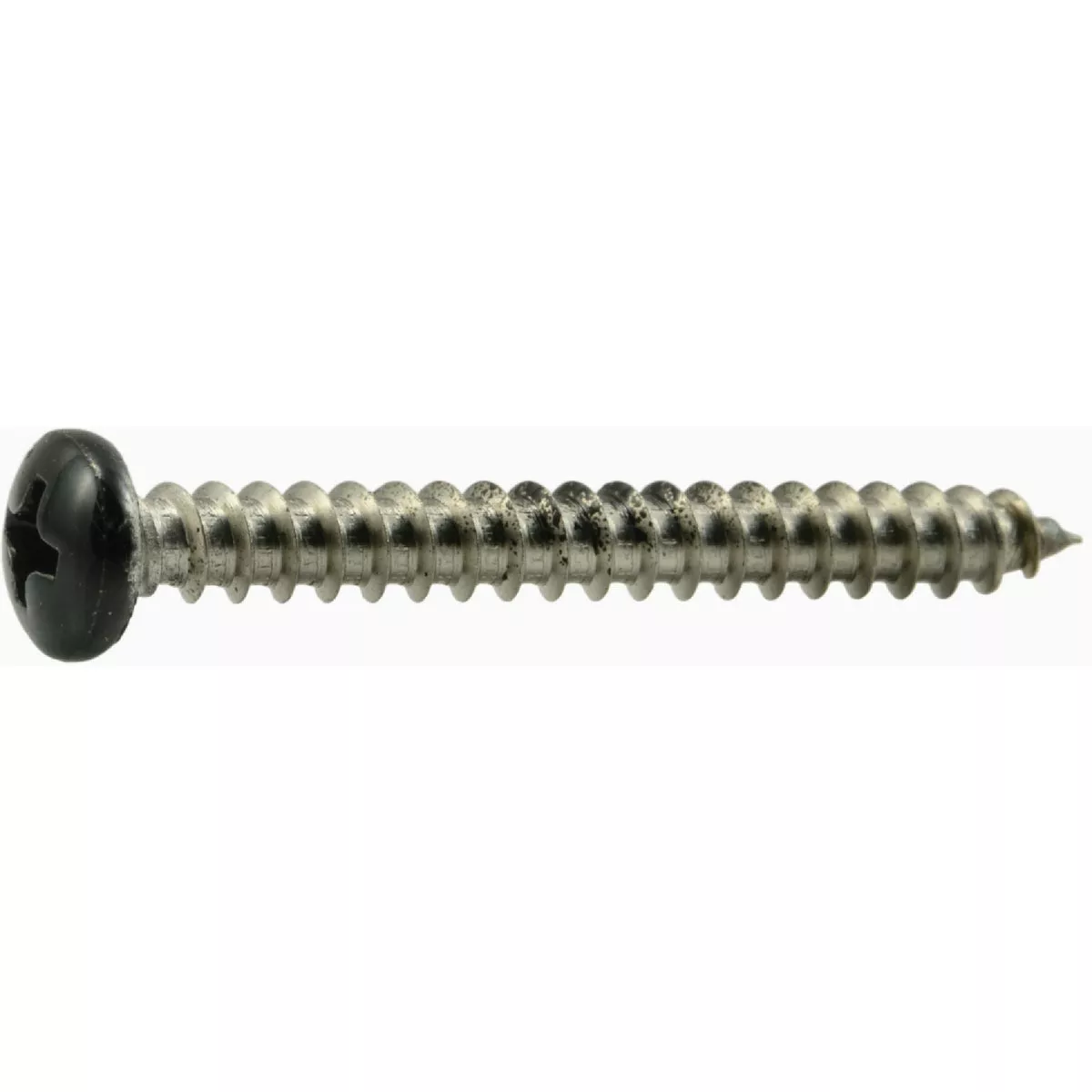 Midwest Fastener #8 x 1-1/2 In. Black Painted 18-8 Stainless Steel Phillips Pan Head Sheet Metal Screws (1 Ct.)