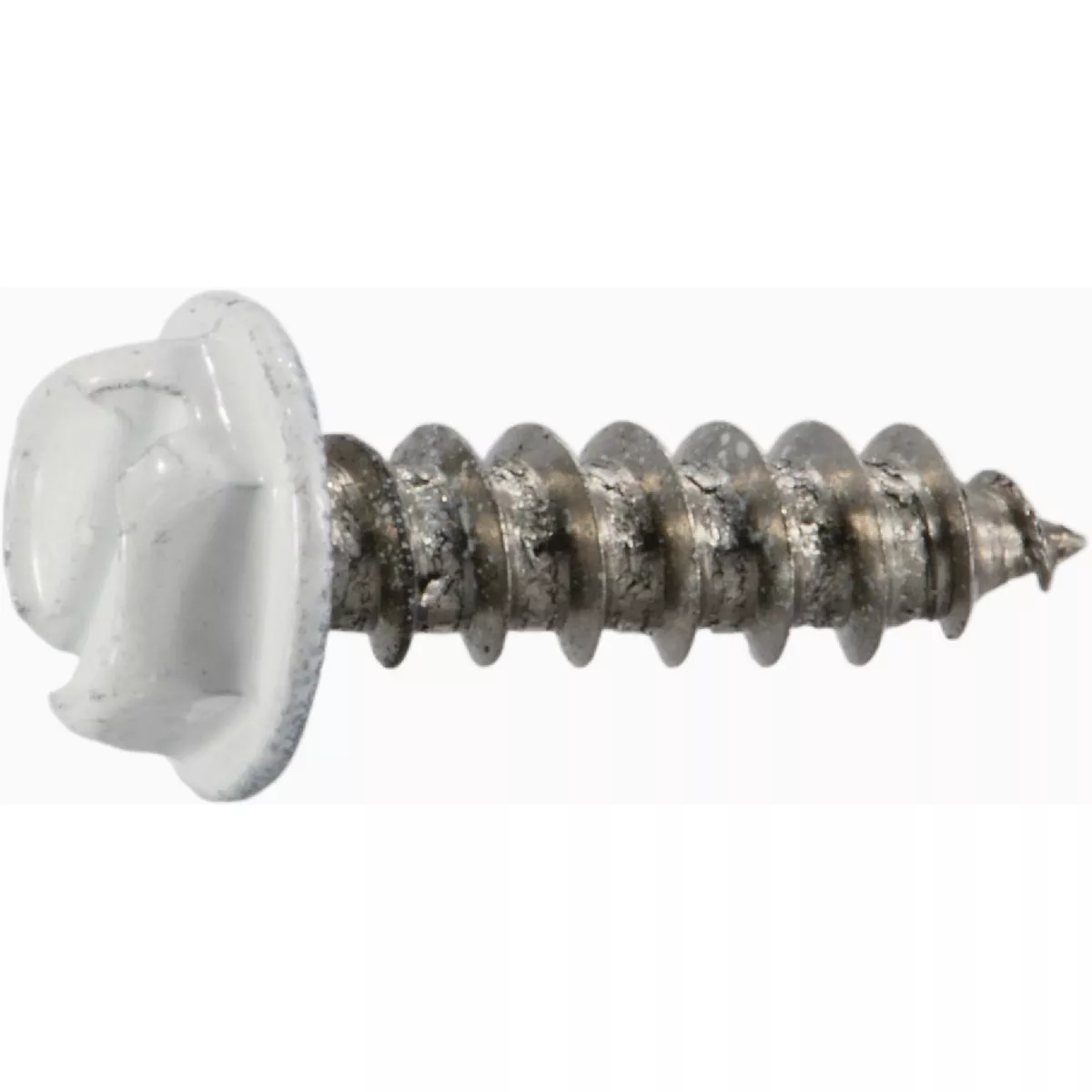 Midwest Fastener #8-14 x 5/8 In. White Painted 18-8 Stainless Steel Hex Washer Head Sheet Metal Screws (1 Ct.)-