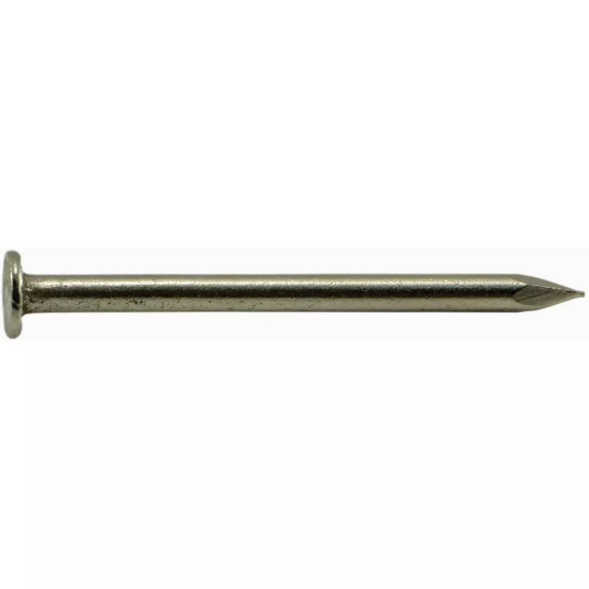 Midwest Fastener 17 x 7/8 In. 18-8 Stainless Steel Wire Flat Head Nails (5 Ct.)