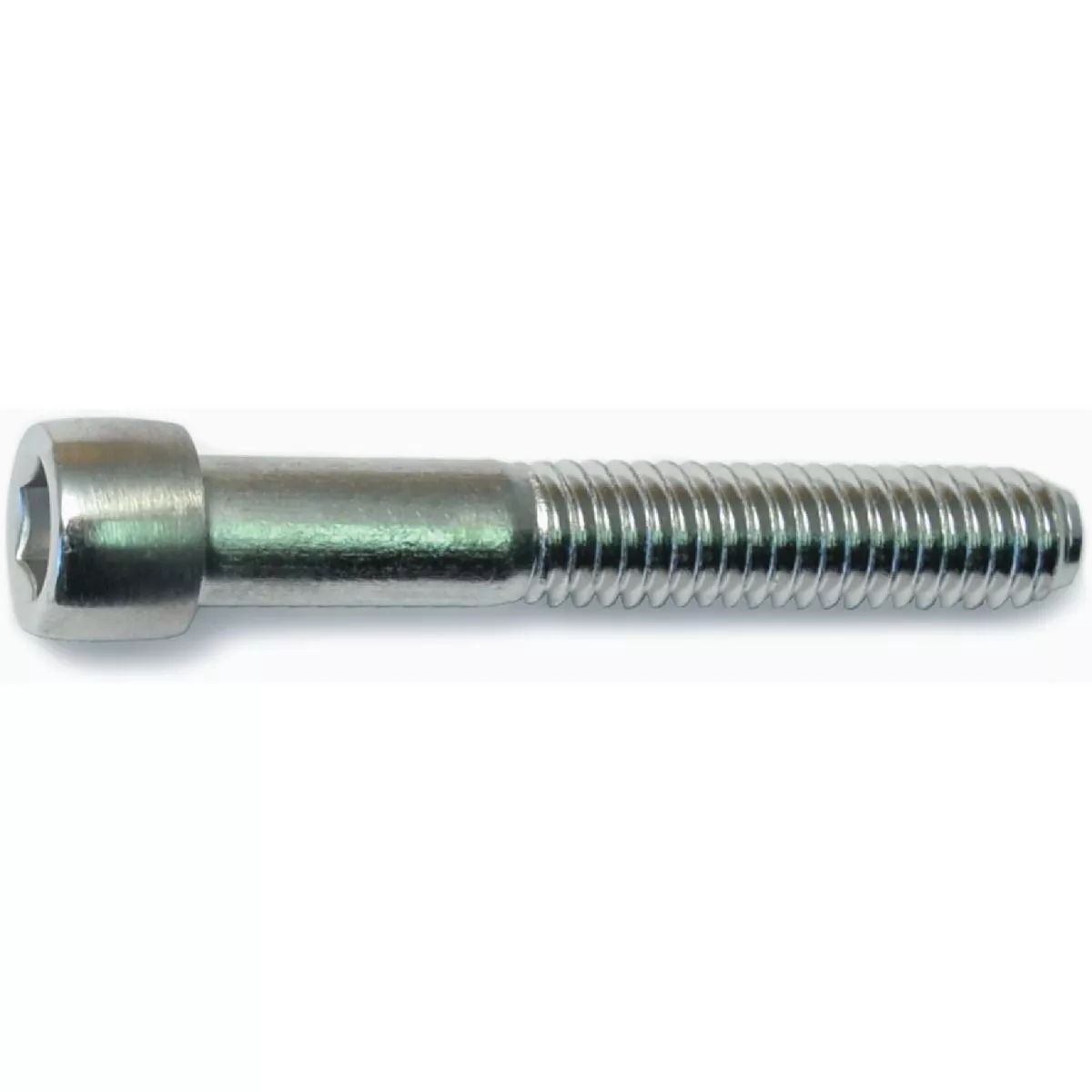 Midwest Fastener 5/16 In.-18 x 2 In. Polished 18-8 Stainless Steel Coarse Thread Smooth Socket Cap Screws (4 Ct.)