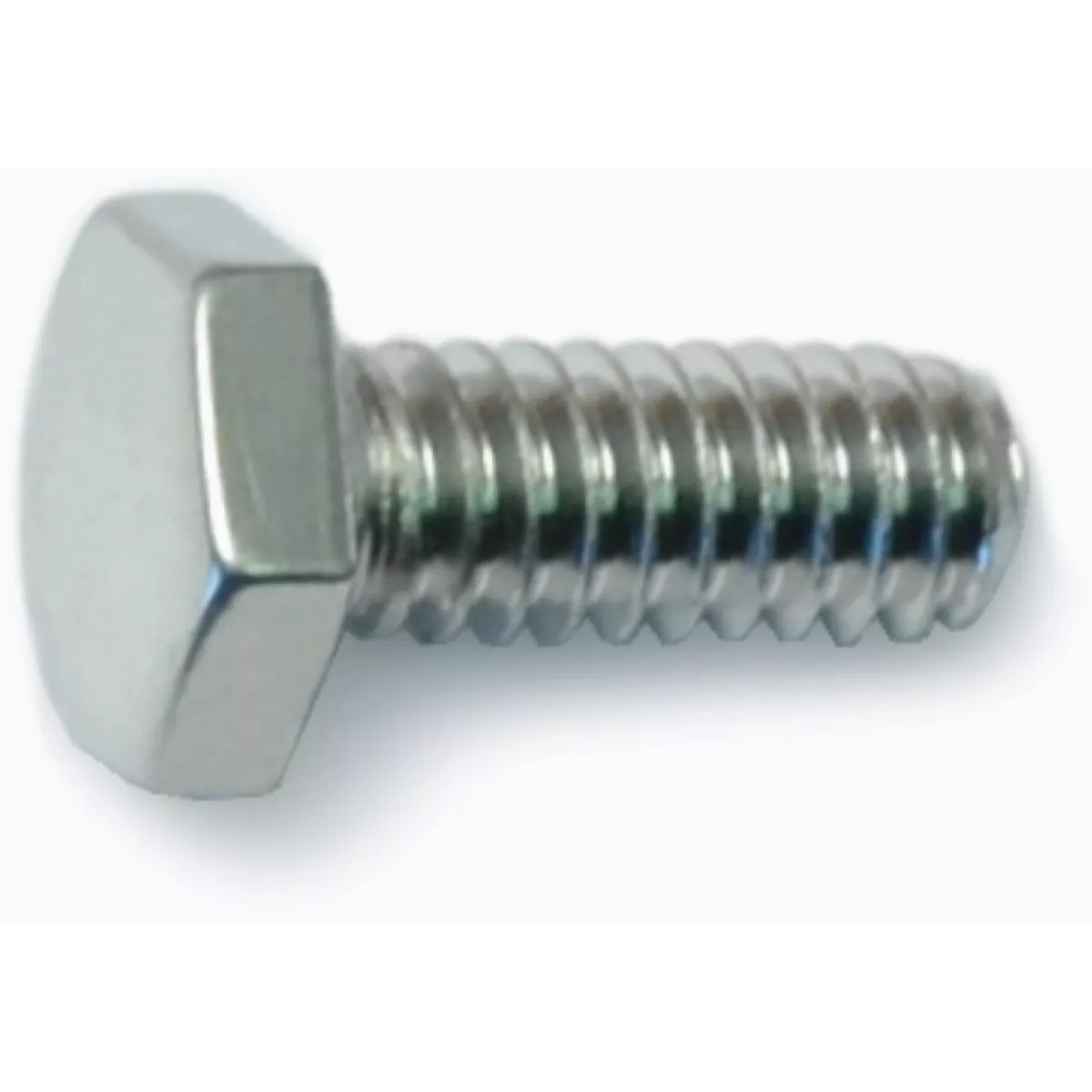 Midwest Fastener 1/4 In.-20 x 5/8 In. Polished 18-8 Stainless Steel Coarse Thread Hex Cap Screws (10 Ct.)